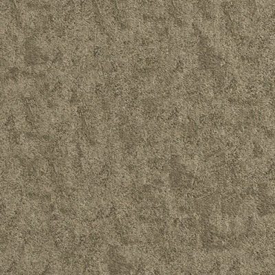Daytona stone